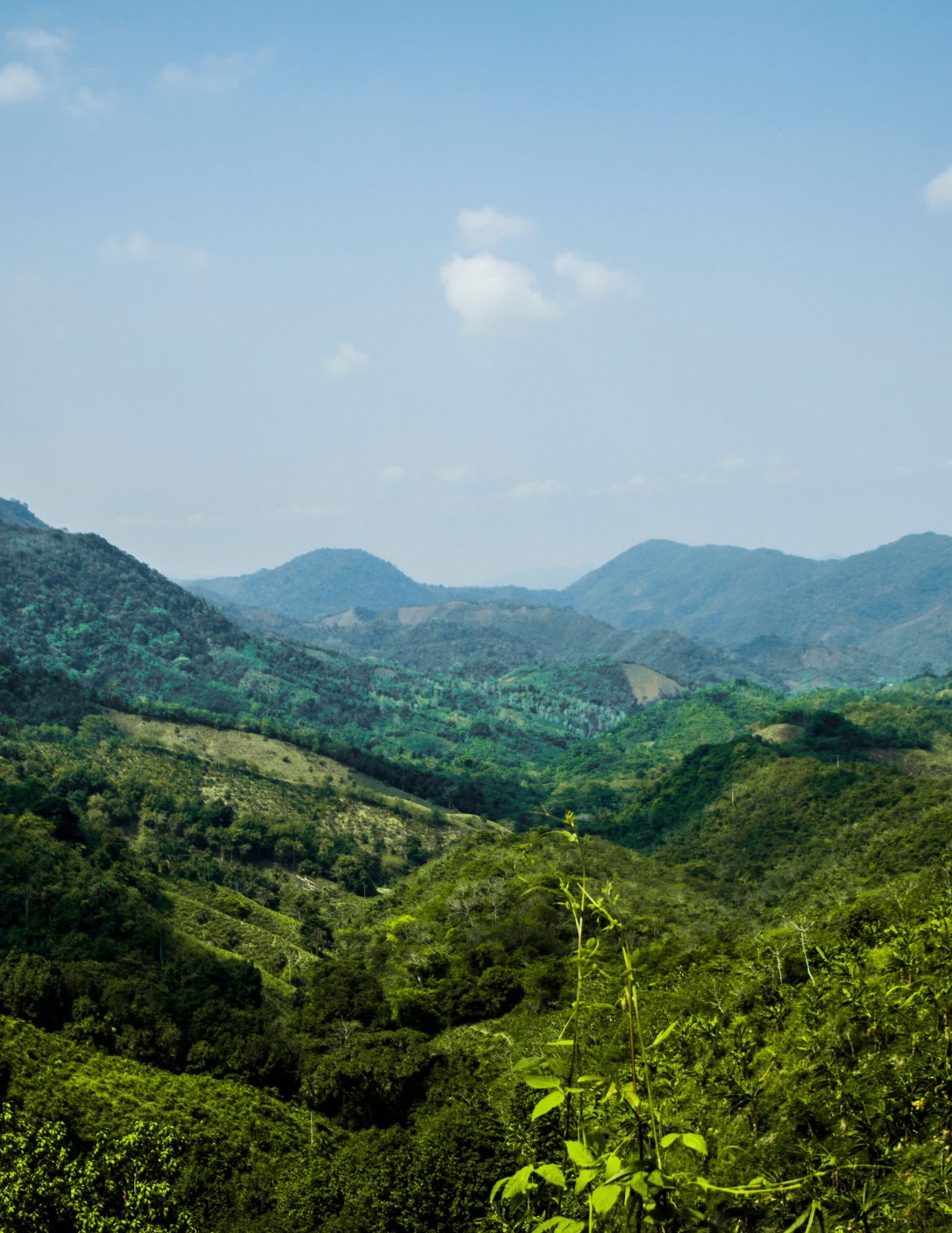 परिवर्तन प्रकृति का नियम है